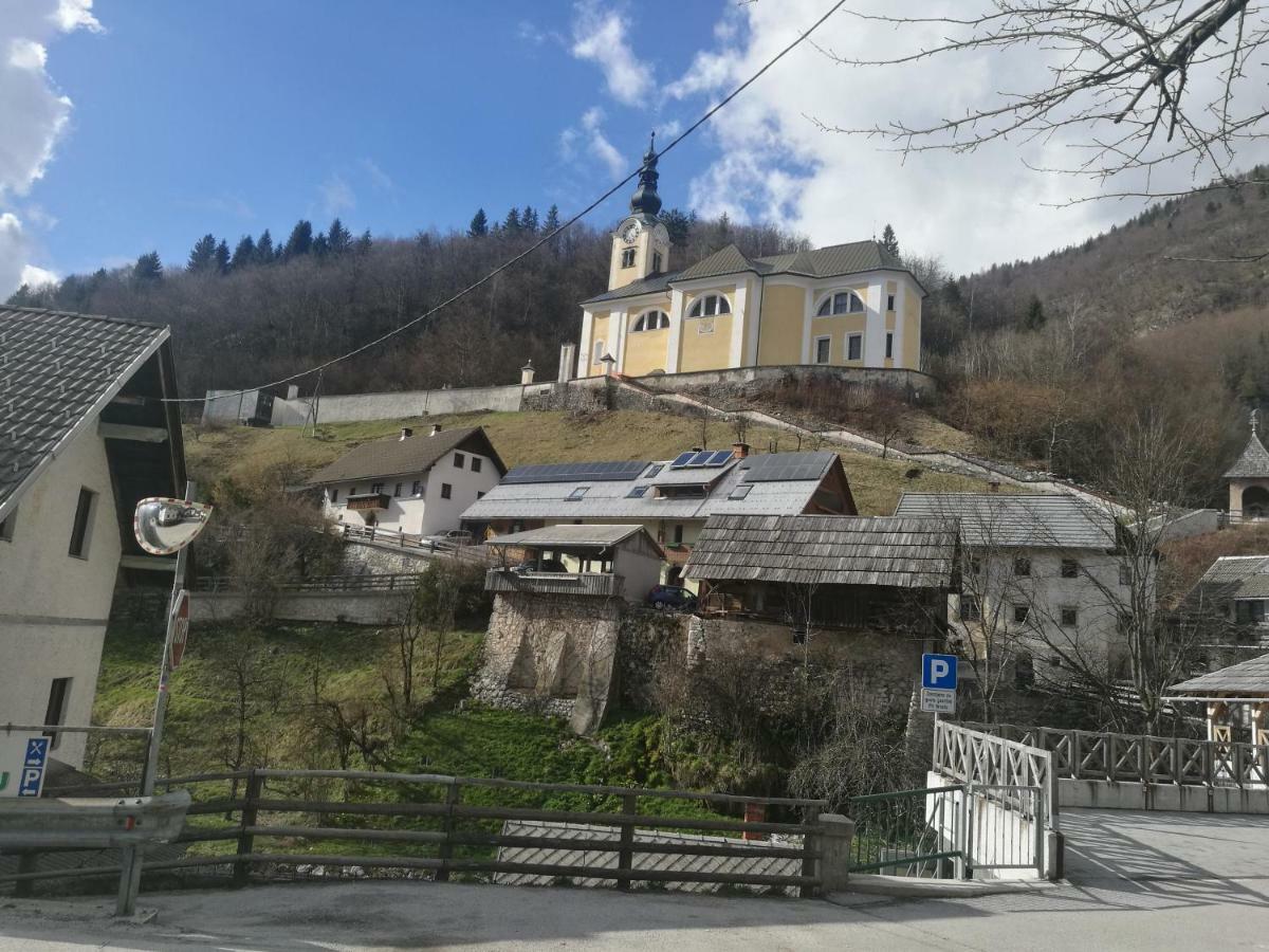 2 & Cvetek * Bohinj